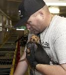 Indiana Puppy Mill Rescue 10/9/08.