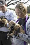 Howell County Substandard Breeder Rescue