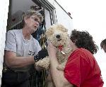 Arkansas Puppy Mill Rescue